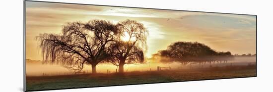 Misty Morning 2-Wayne Bradbury-Mounted Photographic Print