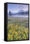 Misty Morning at Mount Hood Flower Field, Oregon-Vincent James-Framed Stretched Canvas