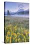 Misty Morning at Mount Hood Flower Field, Oregon-Vincent James-Stretched Canvas