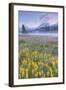 Misty Morning at Mount Hood Flower Field, Oregon-Vincent James-Framed Photographic Print