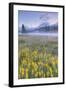 Misty Morning at Mount Hood Flower Field, Oregon-Vincent James-Framed Photographic Print