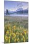 Misty Morning at Mount Hood Flower Field, Oregon-Vincent James-Mounted Photographic Print