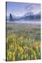 Misty Morning at Mount Hood Flower Field, Oregon-Vincent James-Stretched Canvas