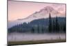 Misty Morning at Mount Hood Meadow-Vincent James-Mounted Photographic Print
