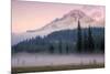 Misty Morning at Mount Hood Meadow-Vincent James-Mounted Photographic Print