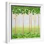 Misty Morning Forest-Herb Dickinson-Framed Photographic Print