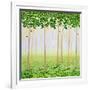 Misty Morning Forest-Herb Dickinson-Framed Photographic Print