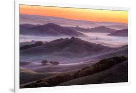 Misty Morning Hills, Petaluma California-Vincent James-Framed Photographic Print