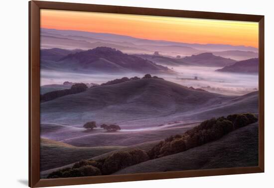 Misty Morning Hills, Petaluma California-Vincent James-Framed Photographic Print