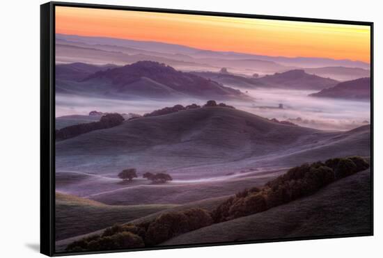 Misty Morning Hills, Petaluma California-Vincent James-Framed Stretched Canvas