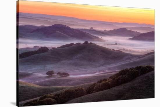 Misty Morning Hills, Petaluma California-Vincent James-Stretched Canvas