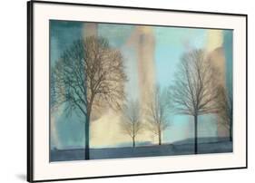 Misty Morning I-Chris Donovan-Framed Art Print