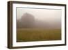 Misty Morning I-Studio 2-Framed Photographic Print