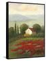 Misty Morning I-Charles Gaul-Framed Stretched Canvas