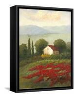 Misty Morning I-Charles Gaul-Framed Stretched Canvas