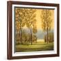 Misty Morning I-Neil Thomas-Framed Art Print