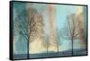 Misty Morning I-Chris Donovan-Framed Stretched Canvas