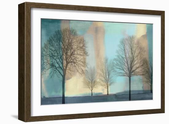 Misty Morning I-Chris Donovan-Framed Premium Giclee Print