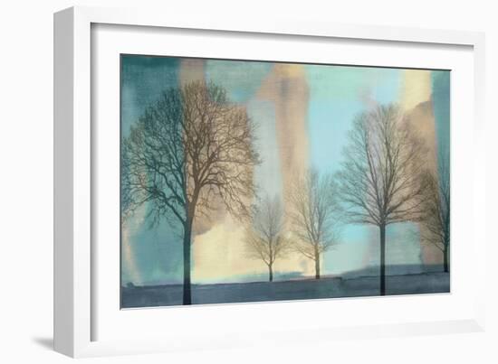 Misty Morning I-Chris Donovan-Framed Art Print