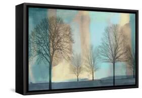 Misty Morning I-Chris Donovan-Framed Stretched Canvas
