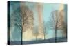 Misty Morning I-Chris Donovan-Stretched Canvas