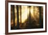 Misty Morning II-Andreas Stridsberg-Framed Giclee Print