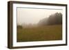 Misty Morning II-Studio 2-Framed Photographic Print