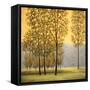 Misty Morning II-Neil Thomas-Framed Stretched Canvas