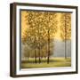 Misty Morning II-Neil Thomas-Framed Art Print