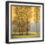 Misty Morning II-Neil Thomas-Framed Art Print