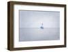 Misty Morning III-Elizabeth Urquhart-Framed Photo