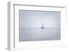 Misty Morning III-Elizabeth Urquhart-Framed Photo