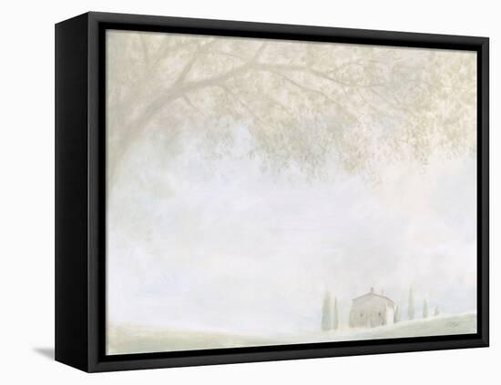 Misty Morning Landscape-Wellington Studio-Framed Stretched Canvas