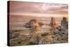 Misty Morning Light at Mono Lake, Eastern Sierras-Vincent James-Stretched Canvas