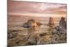 Misty Morning Light at Mono Lake, Eastern Sierras-Vincent James-Mounted Photographic Print