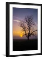 Misty Morning Sun and Tree Design II-null-Framed Photographic Print
