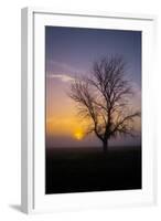 Misty Morning Sun and Tree Design II-null-Framed Photographic Print