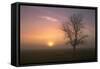 Misty Morning Sun and Tree Design-null-Framed Stretched Canvas