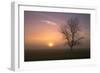 Misty Morning Sun and Tree Design-null-Framed Photographic Print
