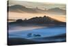 Misty Morning World and First Light, Petaluma California-Vincent James-Stretched Canvas