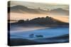 Misty Morning World and First Light, Petaluma California-Vincent James-Stretched Canvas