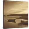 Misty Morning-Mike Sleeper-Stretched Canvas