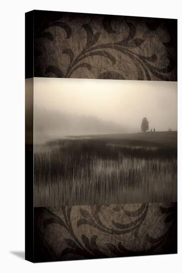 Misty Morning-Janel Pahl-Stretched Canvas
