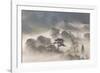 Misty Morning-Peter Adams-Framed Giclee Print