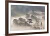 Misty Morning-Peter Adams-Framed Giclee Print