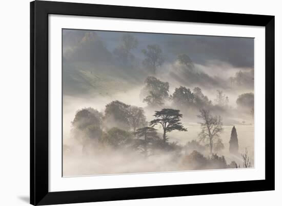 Misty Morning-Peter Adams-Framed Giclee Print