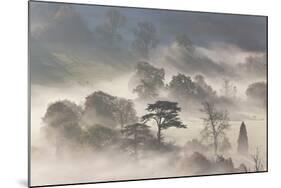 Misty Morning-Peter Adams-Mounted Giclee Print