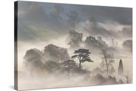 Misty Morning-Peter Adams-Stretched Canvas