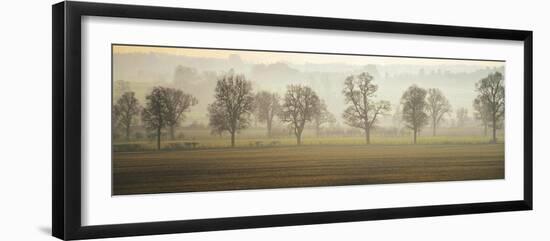 Misty Morning-Ella Lancaster-Framed Giclee Print