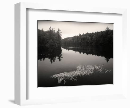 Misty Morning-Andrew Ren-Framed Art Print